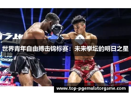 世界青年自由搏击锦标赛:未来拳坛的明日之星 世界青年自由搏击锦标赛:未来拳坛的明日之星