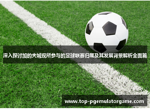 深入探讨加的夫城现所参与的足球联赛归属及其发展背景解析全面篇 深入探讨加的夫城现所参与的足球联赛归属及其发展背景解析全面篇